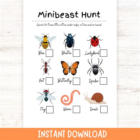 Mini-beast Hunt for Kids | Bug Scavenger Hunt, Insect I Spy Game