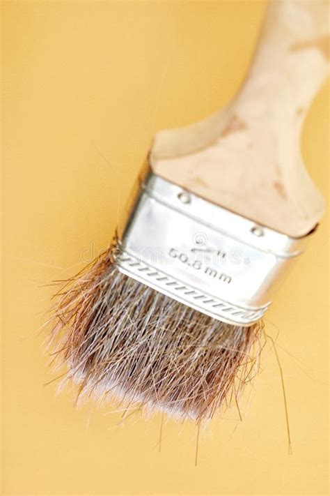 paint set stock image image  brush grunge color