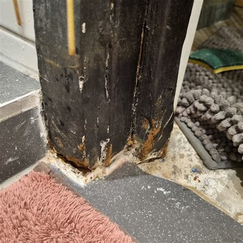 How to fix rotten door frame in bathroom... | Bunnings Workshop community