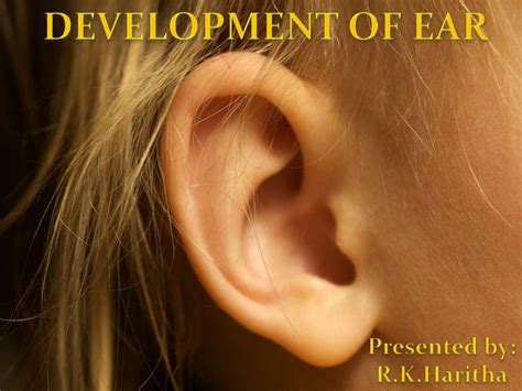 Development of ear