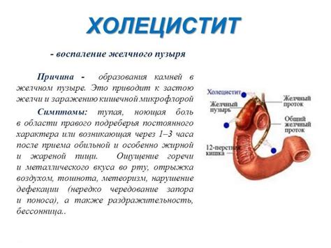 Почему Бывает Отрыжка: Причины, Лечение + 10 Способов Избежать
