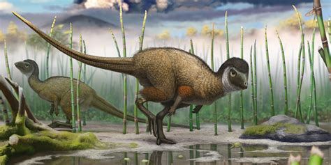 Did Dinosaurs Have Feathers? | Sporcle Blog