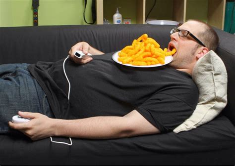 It’s Not Easy Being Lazy (25 PICTURES) How To Avoid Laziness, What Is ...