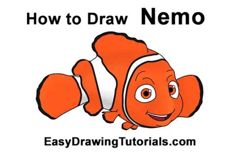 how to draw finding nemo