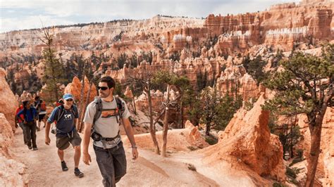 top national park activities national park express