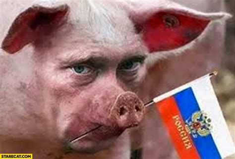 Vladimir Putin as a pig with russian flag photoshopped | StareCat.com