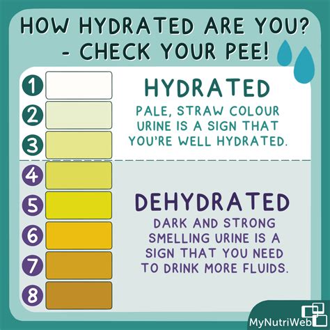 Dehydrated Urine