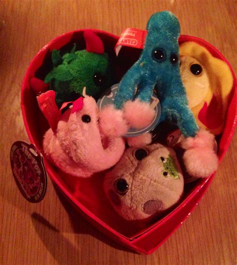 valentine's day stuffed animal 7