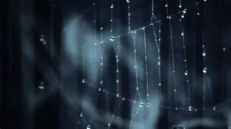 Dark Web Wallpapers - Top Free Dark Web Backgrounds - WallpaperAccess
