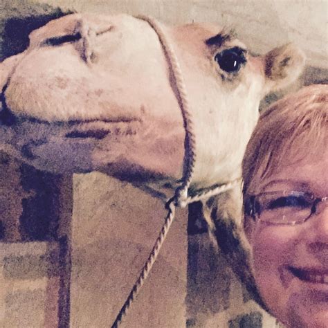 MY Travel Agent DIANA - Home