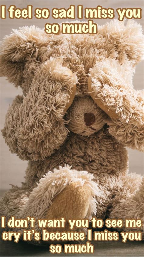 47 teddy bear quotes and images – Artofit