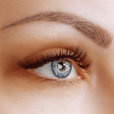 lash enhancement eyeliner renu studio