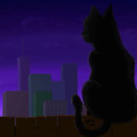 Black Cat Sunrise by DianaK on Newgrounds