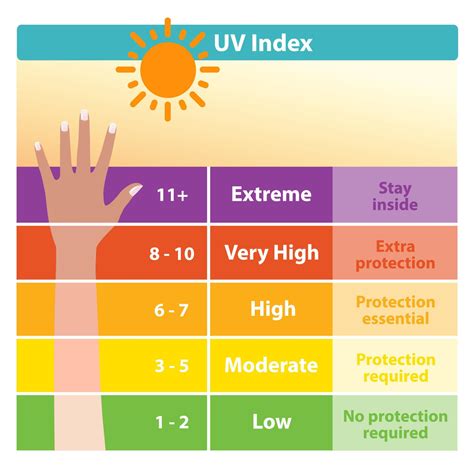 The ultraviolet index chart with tanned skin vector. UV index scale