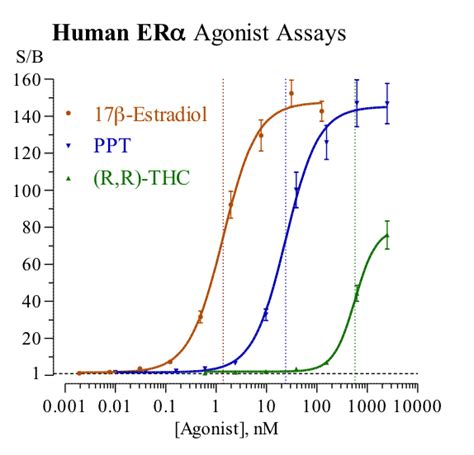 Estrogen Receptor Alpha (ERα; NR3A1) - INDIGO Biosciences