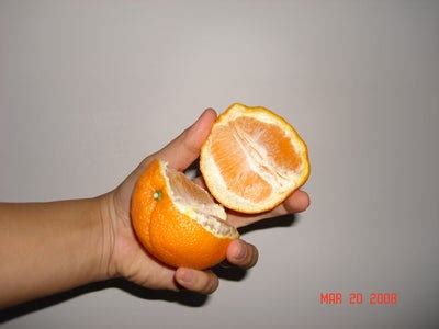 how to open orange