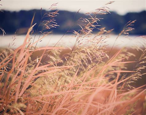 hudson wi obituaries 5