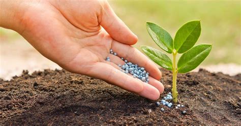 fertilizer wallpapers top  fertilizer backgrounds wallpaperaccess