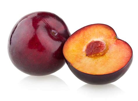 plum definition  meaning collins english dictionary