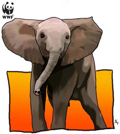 WWF- Elephant by OmbroParanojo on DeviantArt