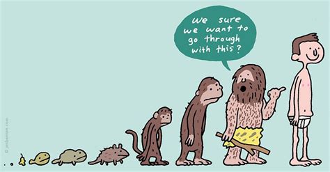 evolution | Comics, Funny cartoons, Cartoons comics