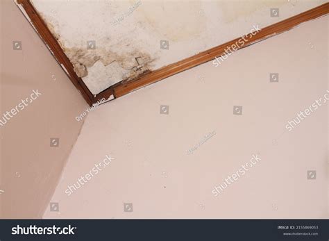 perforated roof images stock  vectors shutterstock