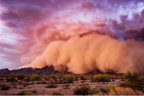 sandstorm