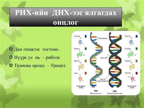 эсийн хими найрлага бататгал