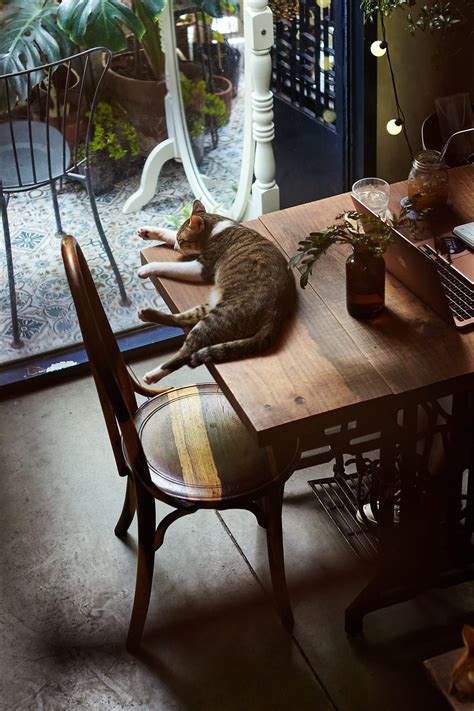 Hẻm Gems: The Secret Realm of Good Vibes Behind the Doors of Passengers