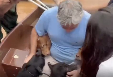 Un hombre en Brasil se emociona al encontrar con vida a sus cuatro perros