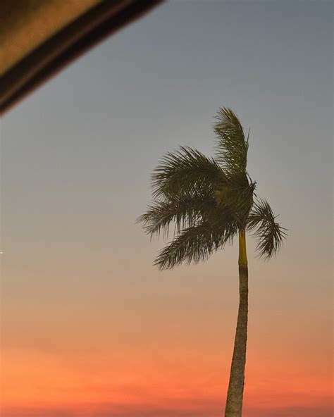 Gi Genesini (@gigenesinir) • Instagram photos and videos