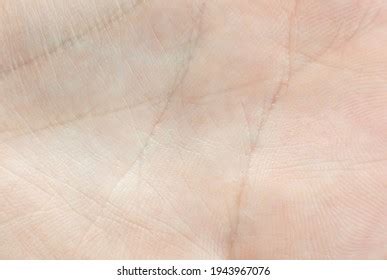 Human Palm Skin Texture Background Macro Stock Photo 1943967076 ...