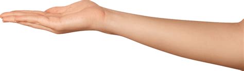 arm png transparent images pictures