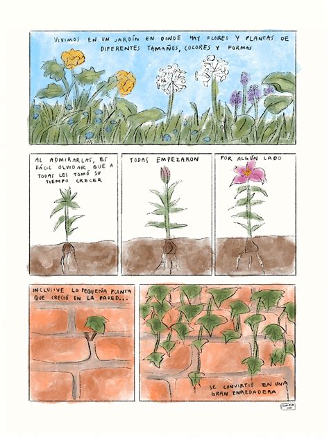 historias cortas  behance