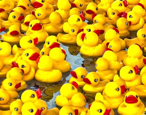 Free Rubber Duckie, Download Free Rubber Duckie png images, Free