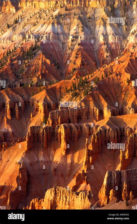 Afternoon light the Cedar Breaks Amphitheater from Point Supreme Cedar ...