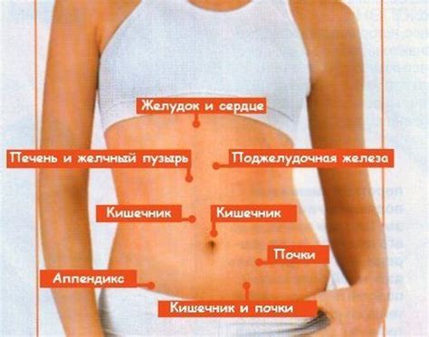 На что указывают 7 видов боли в животе - Образованная Сова