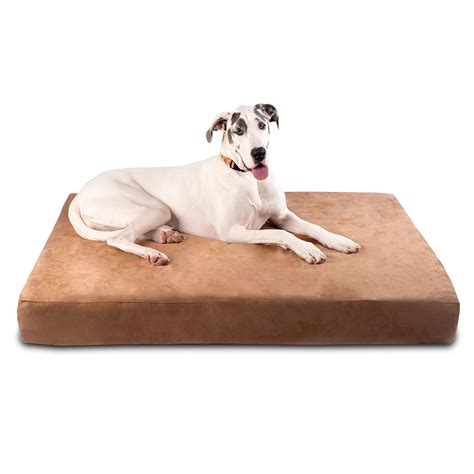 Where Can You Donate Used Dog Beds at Eileen Marvin blog