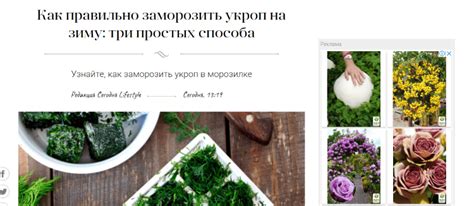 Что такое контекстная реклама: виды, примеры и особенности