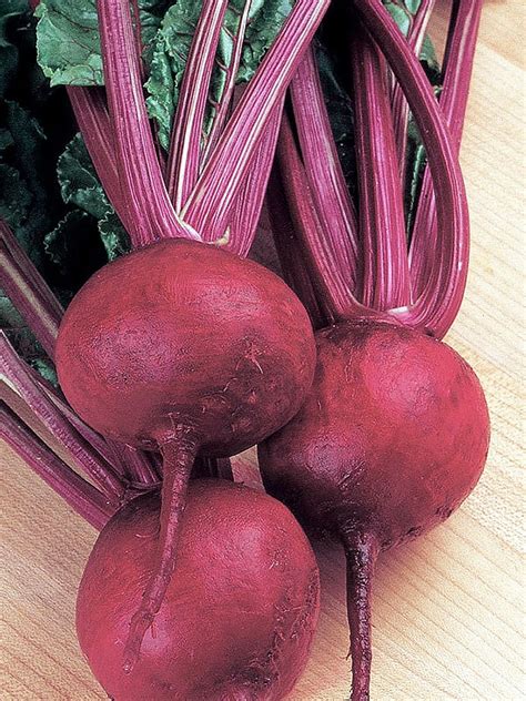 Свёкла Червона Кула (Red Ball)