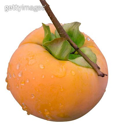 Kaki Fruit Cut out 이미지 (1196825635) - 게티이미지뱅크