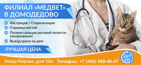 МЕДВЕТ - круглосуточная ветеринарная клиника в Москве и Подмосковье ...
