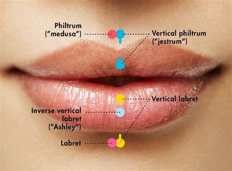 normal lip piercing healing process infoupdateorg