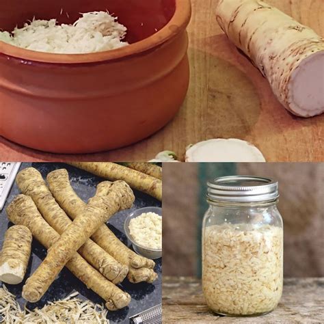 Powerful Cure to Cleanse the Lungs & Sinuses – Instant Nose Unclogging ...