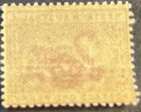 Western Australia # 73-Mint Never/Hinged--Single--Carmine Rose--1899-01