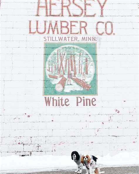 Adventures with Mila & Ruby