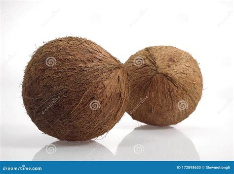 NOIX DE COCO stock image. Image of fruit, botany, white - 172898633