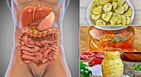 10 натуральных продуктов для кишечника, богатые на пробиотики