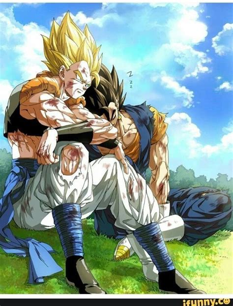 Just some awesome and funny pics of Vegito, Gogeta and Gotenks ...