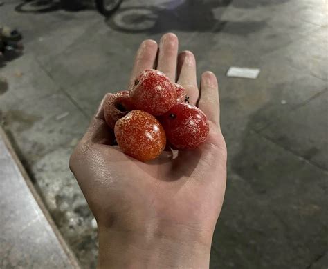 Anh em biết quả này không | Viết bởi Lê.Anh.Tuấn